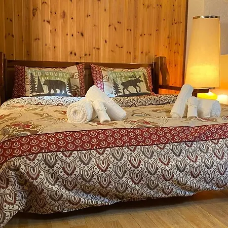 Apartment Confortevole Oasi Di Pace: Allontanati Dal Caos E Immergiti Nel Estivo E Nella Neve Invernale